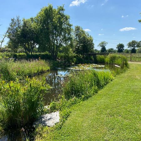 Le Jardin Des Sens Chasne-sur-Illet Exterior foto